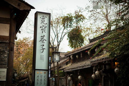 洪崖洞与宽窄巷子联名宣传海报