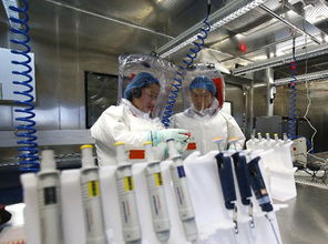 科研实验室内研究人员讨论数据图表