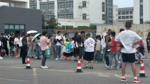 野猪进城记：杭州街头惊现百斤野猪，学校小区都慌了！