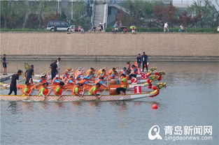 龙舟文化节活动现场