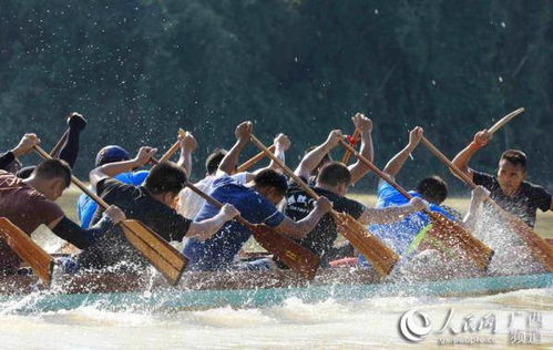 广西龙舟比赛现场激烈竞争