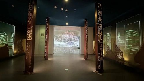 山东博物馆马面裙数字展示