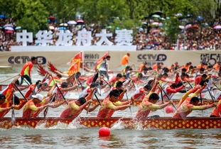 龙舟比赛现场观众欢呼雀跃