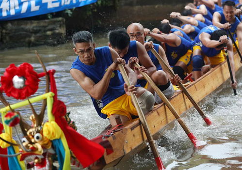 龙舟队伍奋力划桨的场景