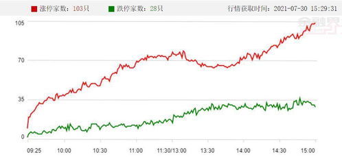 境外上市企业资金流向示意图