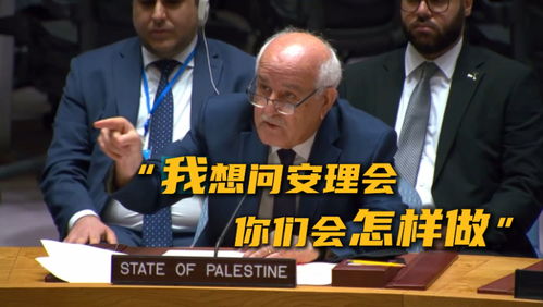 巴勒斯坦代表泪洒安理会：当战火吞噬生命，谁来守护和平？