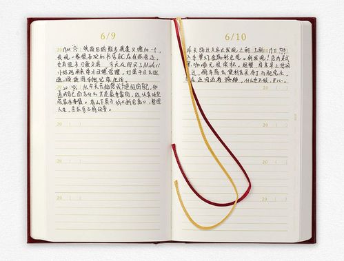 一个打开的手账本上面写着年度目标清单