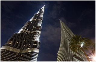 中东出海热｜为什么我选择迪拜作为跨境贸易的跳板？