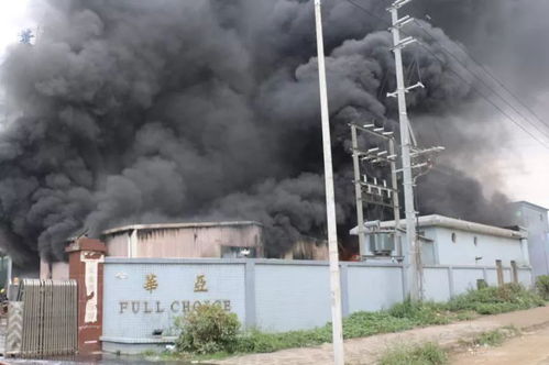 400年金丝楠木老屋被烧，文物古建保护再敲警钟