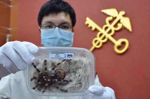 深圳海关人员检查可疑包裹现场图