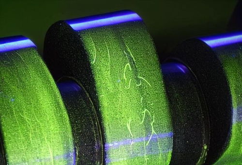 我试了蓝光笔检测农药残留，结果让我大吃一惊！