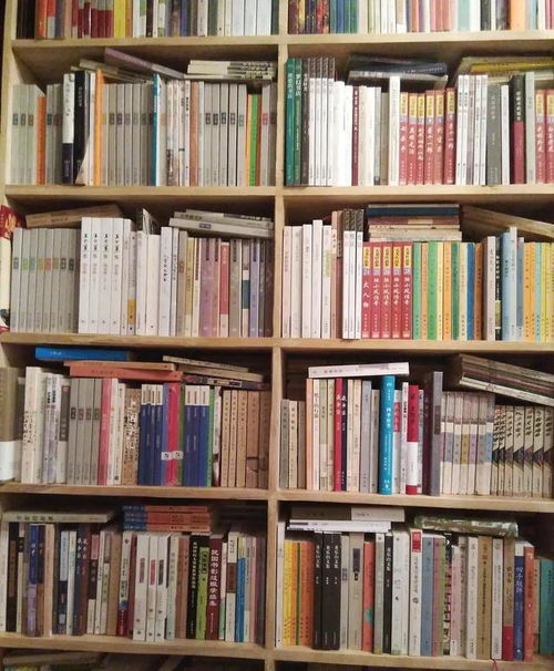 读《隐秘的储蓄罐》有感：那些藏在岁月里的秘密，终于被我读懂了