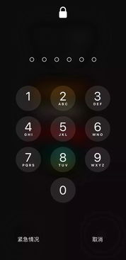 手机显示消息已读未回复