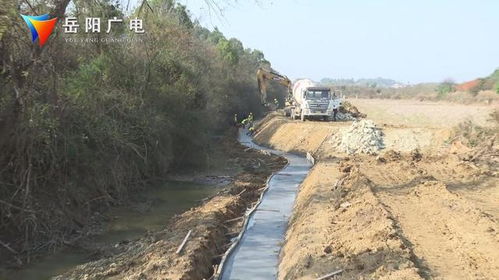 河道生态修复现场，工人正在施工