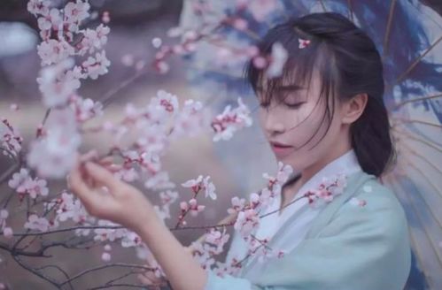 李子柒与非遗传承人黄荣华在非遗节上互动交流