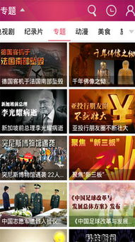 大熊猫集资应援谣言背后：网暴、煽动与法律红线