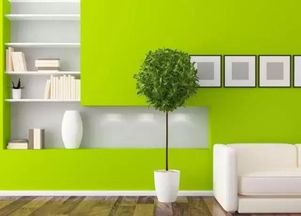 环保装修材料展示图