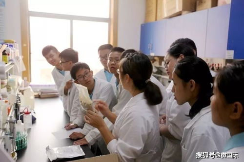 科技创新浪潮下的新机遇：我眼中的中国科技未来