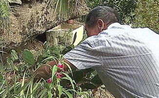 老人在墓前焚香