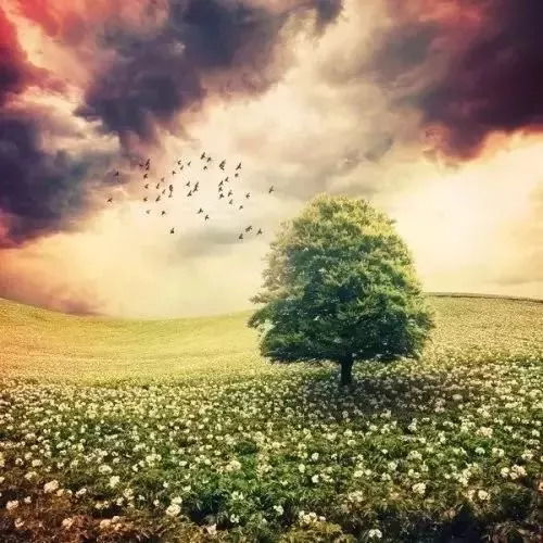 和爱的人相见的那一刻，温暖了所有