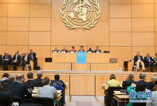 中国代表在世卫大会发言