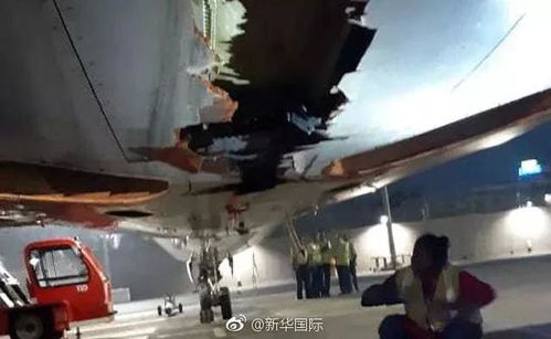 韩国客机冲出跑道事故：183人中179遇难，真相与反思