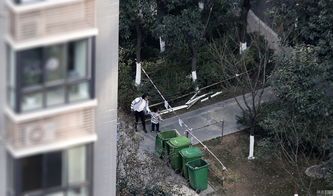 102岁老人误把窗户当门，从3楼坠落！路人神操作救下一条命