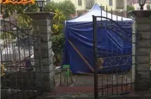 老人住在天桥下的简陋帐篷