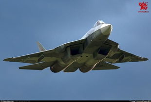 外国军迷在论坛上讨论歼-10CE的图片