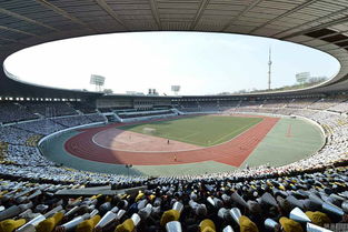 足球比赛现场观众欢呼