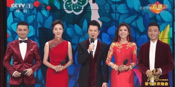 朱迅在节目中主持画面