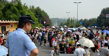 游客在熊猫基地参观并合影留念