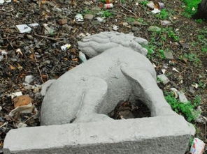 石狮子离奇失踪？私人博物馆惊现神秘身影！