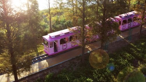 我在林渡暖村遇见阳光思语，住进艺术与自然的诗意栖居