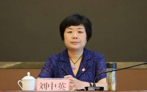 李晨曦在暴风雪中执行救援任务