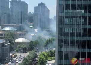 美限制中国学生签证？中方强硬回应，留学生权益不容侵犯！