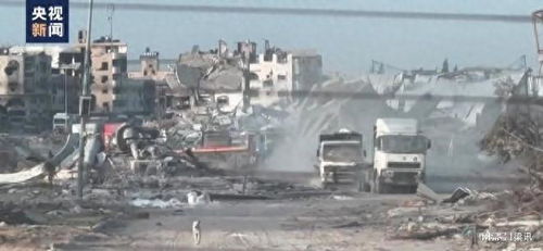 志愿者向加沙运送救援物资