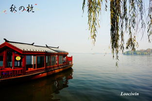 宋福韵彩 浙次元奇遇：一场穿越古今的奇幻之旅