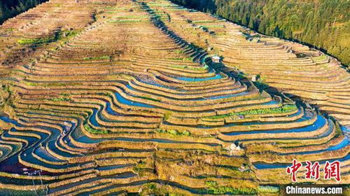 加榜梯田航拍图