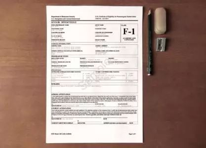 留学生咨询签证问题现场