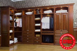 定制衣柜收纳展示图