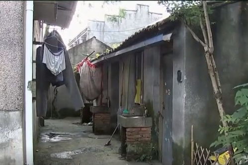 许老太太的房子