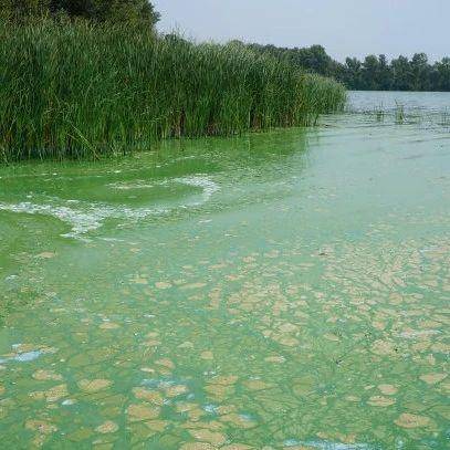 污水总磷去除：一场守护水生态的“战役”
