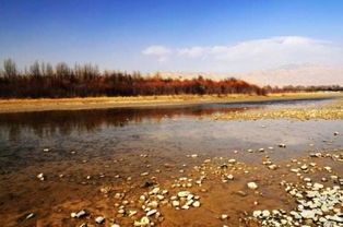 自然保护区湖面生态画面