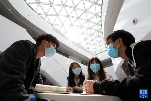 学生研究其他国家的留学选项