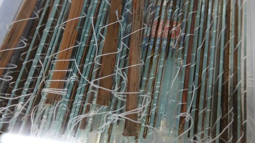 荆州简牍修复现场