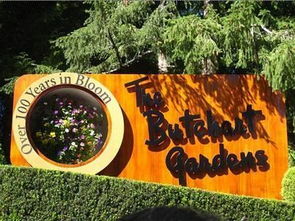 游客在布查特花园拍照