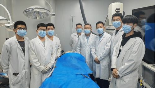 脑机接口研究团队在实验室工作