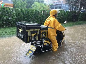 外卖运营如何提升效率与服务质量 我用亲身经历告诉你秘诀