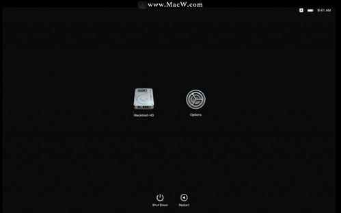 MacBook进入恢复模式界面